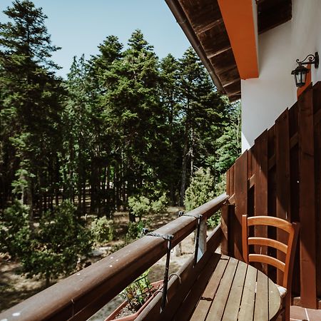 Vallicciola Nature Hotel تيمبيو باوسانيا المظهر الخارجي الصورة
