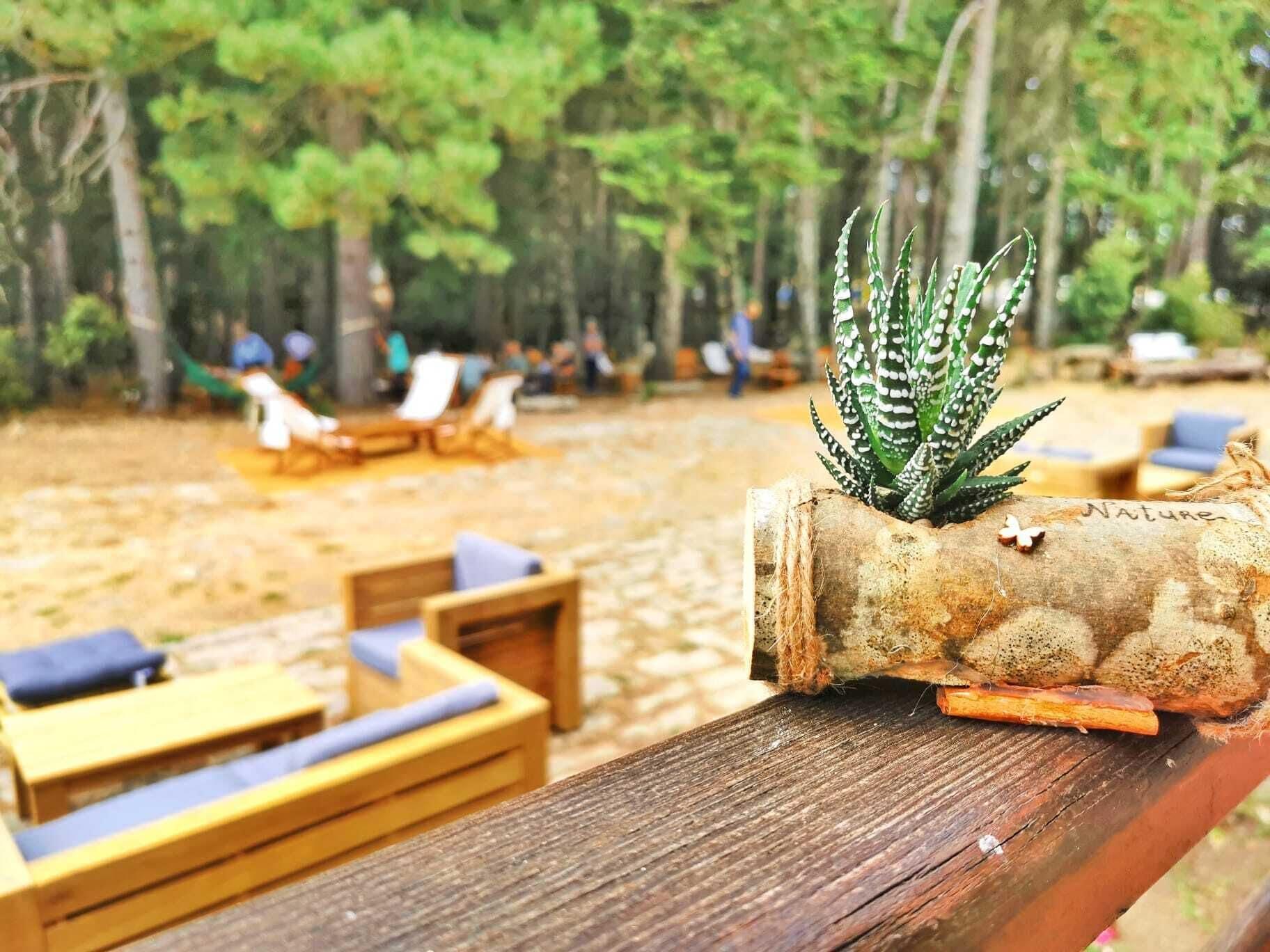 Vallicciola Nature Hotel تيمبيو باوسانيا المظهر الخارجي الصورة